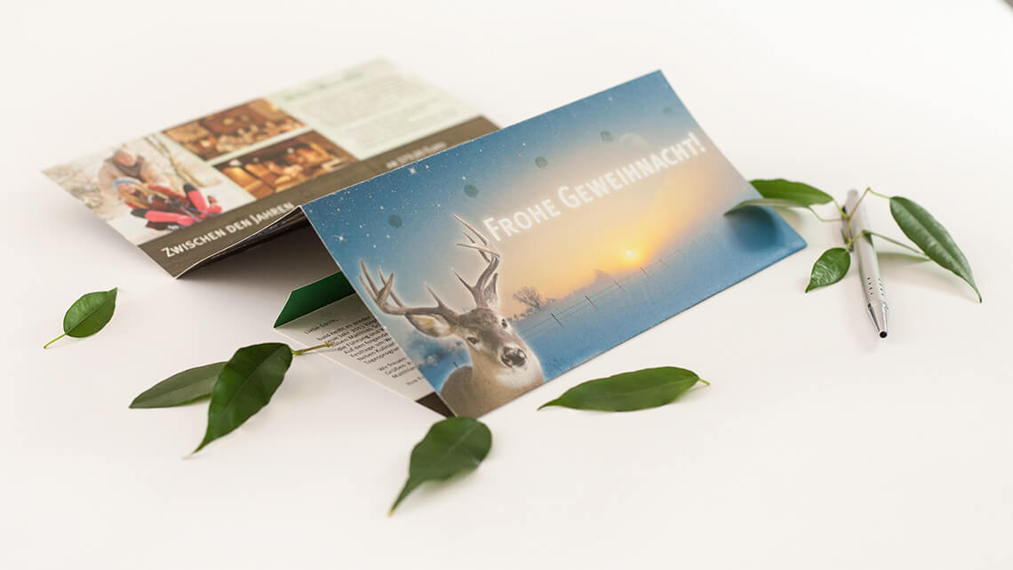 Ansicht auf ein halbausgeklapptes Mailing vom Mönchs Waldhotel